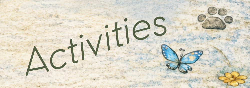 Activities